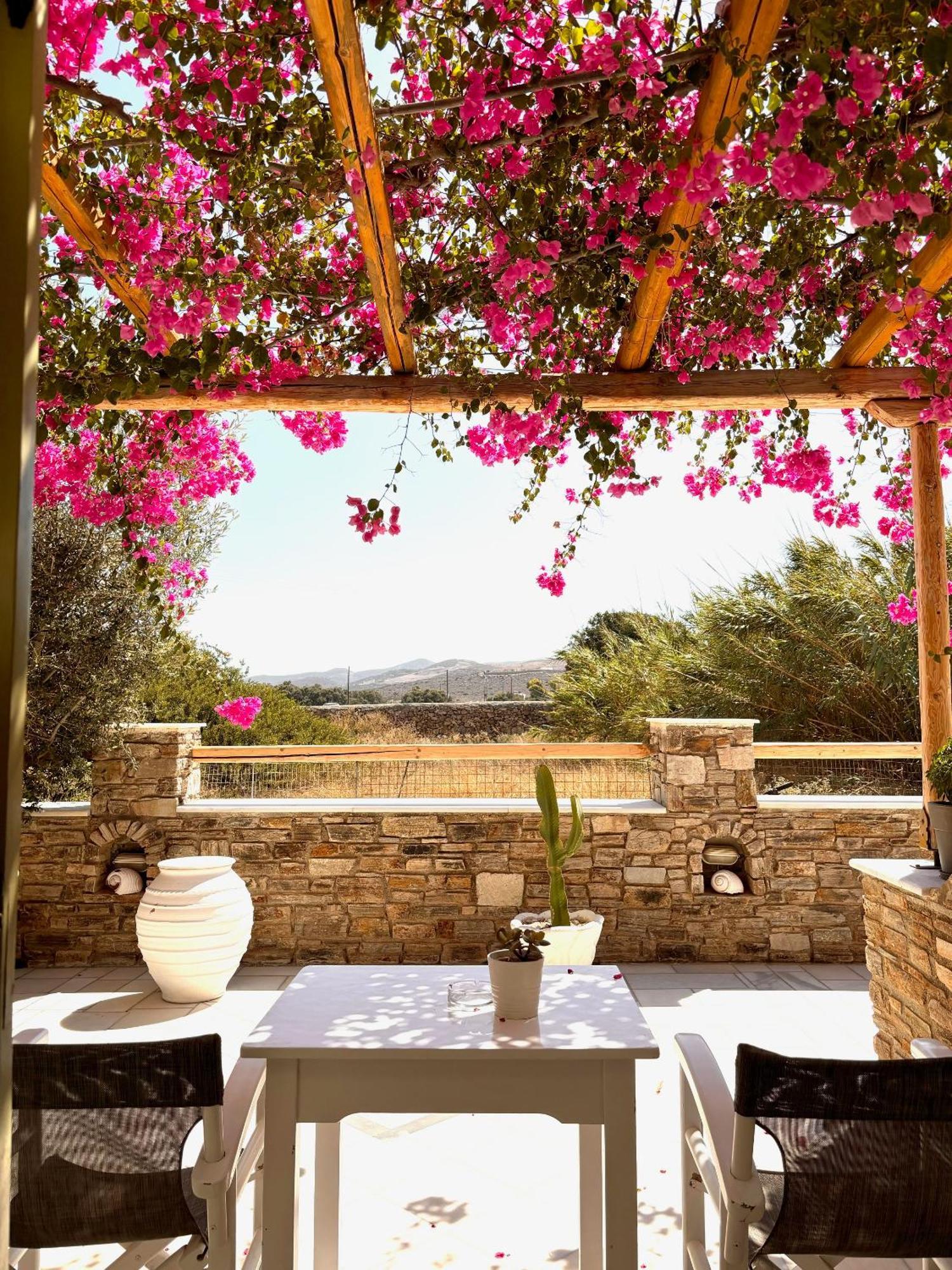 Aegeo Inn Antiparos Città Esterno foto